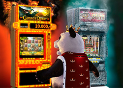 Panda watching Hot and Cold slot