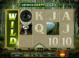 untamed-giant-panda